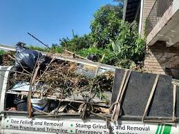 Best Estate Cleanout  in Frankenmuth, MI