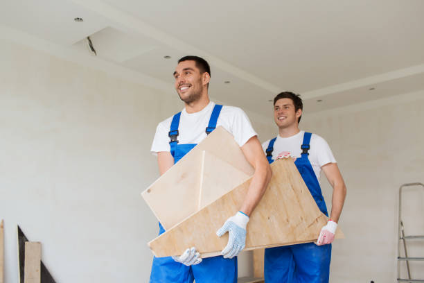 Best Demolition Debris Removal  in Frankenmuth, MI